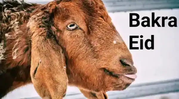 Bakra eid 2025 : 2025 में ईद-उल- कब है?  ईद-अल-अधा का इतिहास और महत्व