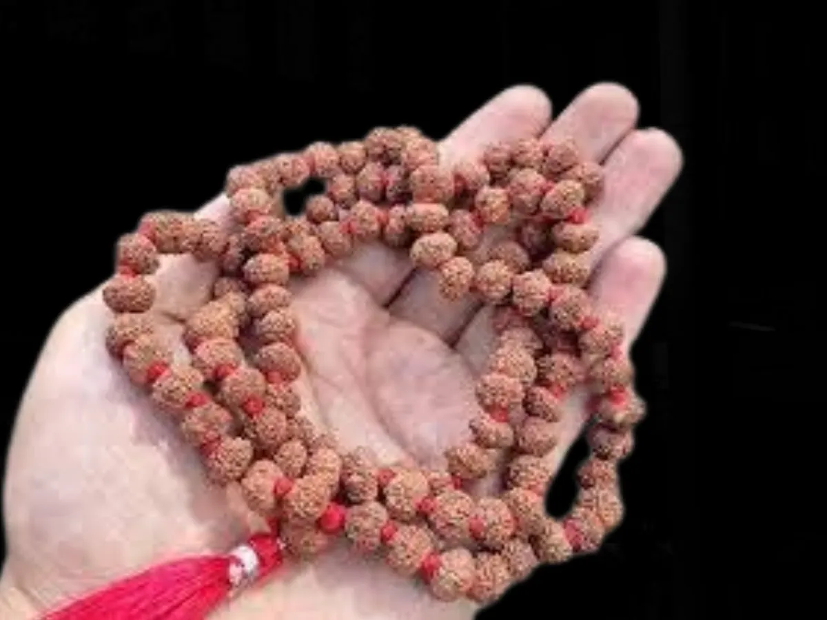 Rudraksha mala: रुद्राक्ष धारण करने से पहले क्या करेंऔर क्या ना करें?… अभी जानिए