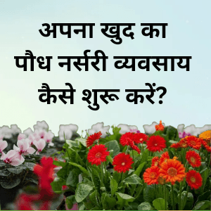 Nursery business: अपना खुद का पौध नर्सरी व्यवसाय कैसे शुरू करें? – nursery ka business kaise kare